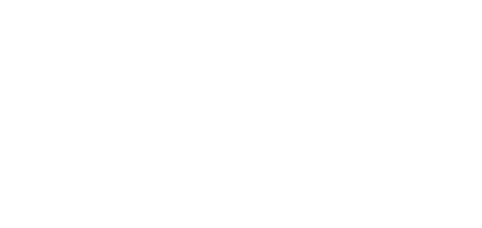Chess Dynamics logo