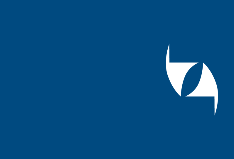 Chess Dynamics Vision4ce Logo