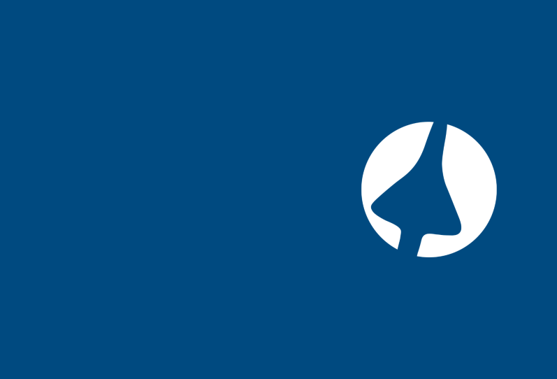 Chess Dynamics plane logo