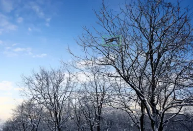 Chess Dynamics Vision4ce DEFT tracking Drone